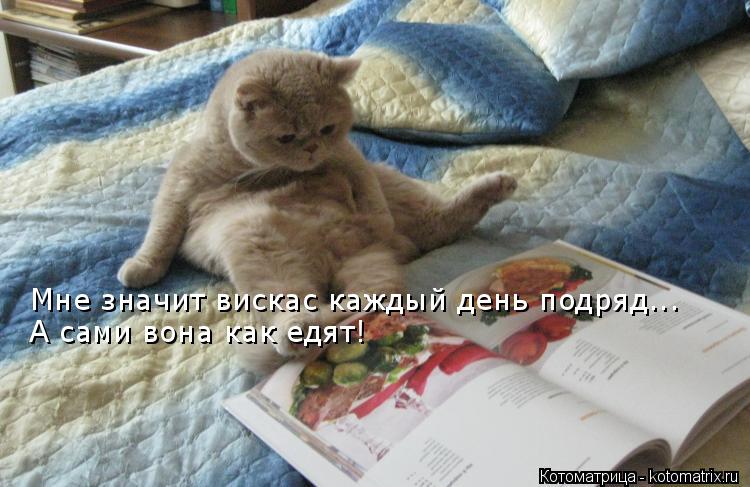Мне значит вискас каждый день подряд... А сами вона как едят!... Котоматрица: Мне значит вискас каждый день подряд... А сами вона как едят!