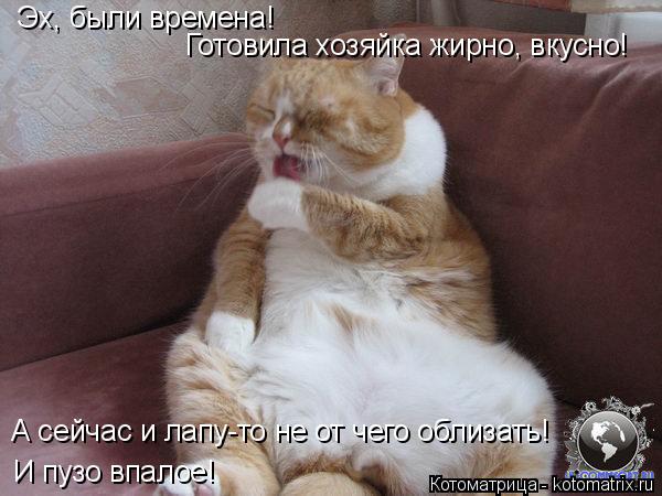 Эх, были времена! Готовила хозяйка жирно, вкусно! А сейчас и лапу-то не от чего облизать! И пузо впал... Котоматрица: Эх, были времена! Готовила хозяйка жирно, вкусно! А сейчас и лапу-то не от чего облизать! И пузо впалое!
