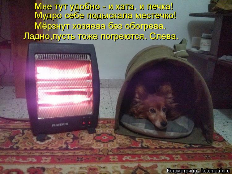Мне тут удобно - и хата, и печка! Мудро себе подыскала местечко! Мёрзнут хозяева без обогрева. Ладно,... Котоматрица: Мне тут удобно - и хата, и печка! Мудро себе подыскала местечко! Мёрзнут хозяева без обогрева. Ладно,пусть тоже погреются. Слева.