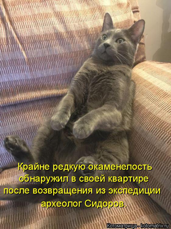 Крайне редкую окаменелость обнаружил в своей квартире после возвращения из экспедиции археолог Сидоро... Котоматрица: Крайне редкую окаменелость обнаружил в своей квартире после возвращения из экспедиции археолог Сидоров.