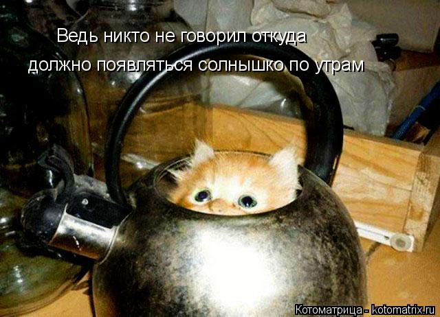 Ведь никто не говорил откуда Ведь никто не говорил откуда должно появляться солнышко по утрам... Котоматрица: Ведь никто не говорил откуда Ведь никто не говорил откуда должно появляться солнышко по утрам