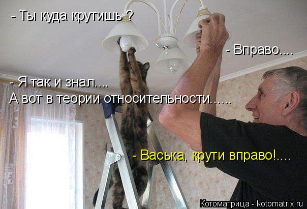 - Ты куда крутишь ? - Вправо.... - Я так и знал.... А вот в теории относительности...... - Васька, к... Котоматрица: - Ты куда крутишь ? - Вправо.... - Я так и знал.... А вот в теории относительности...... - Васька, крути вправо!....