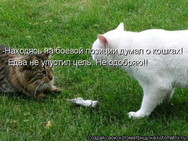 -Находясь на боевой позиции,думал о кошках! Едва не упустил цель..Не одобряю!!... Котоматрица: -Находясь на боевой позиции,думал о кошках! Едва не упустил цель..Не одобряю!!
