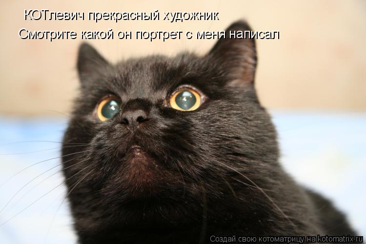 КОТлевич прекрасный художник Смотрите какой он портрет с меня написал... Котоматрица: КОТлевич прекрасный художник Смотрите какой он портрет с меня написал
