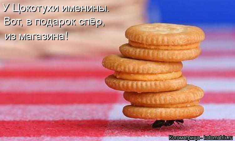 У Цокотухи именины. Вот, в подарок спёр, из магазина!... Котоматрица: У Цокотухи именины. Вот, в подарок спёр, из магазина!