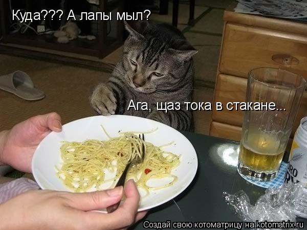 Куда??? А лапы мыл? Ага, щаз тока в стакане...... Котоматрица: Куда??? А лапы мыл? Ага, щаз тока в стакане...