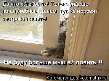 по служебным делам, тут же норовят Да что ж такое-то! Только уйдёшь завтрака лишить! Не буду больше м... Котоматрица: по служебным делам, тут же норовят Да что ж такое-то! Только уйдёшь завтрака лишить! Не буду больше мышей ловить!!!