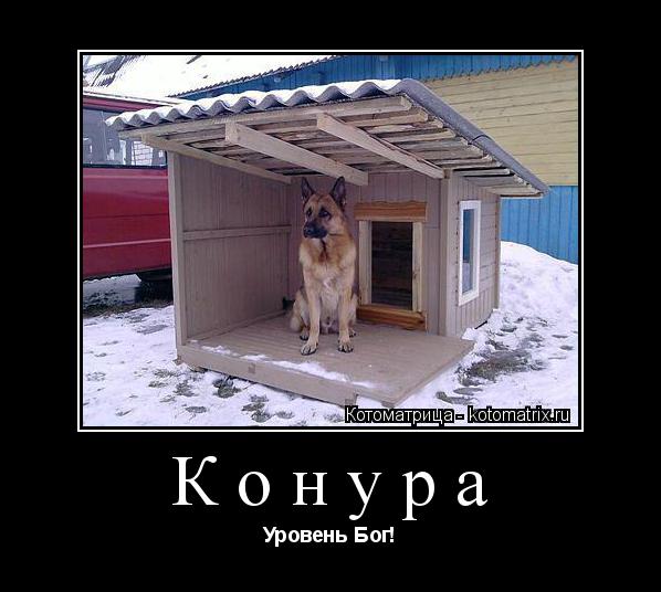 Конура Уровень Бог!... Котоматрица: Конура Уровень Бог!