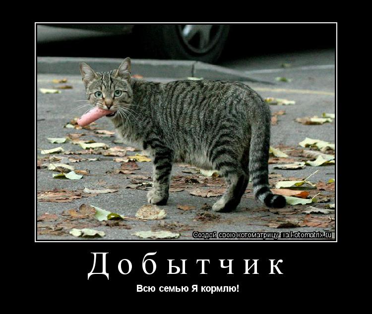 Добытчик Всю семью Я кормлю!... Котоматрица: Добытчик Всю семью Я кормлю!