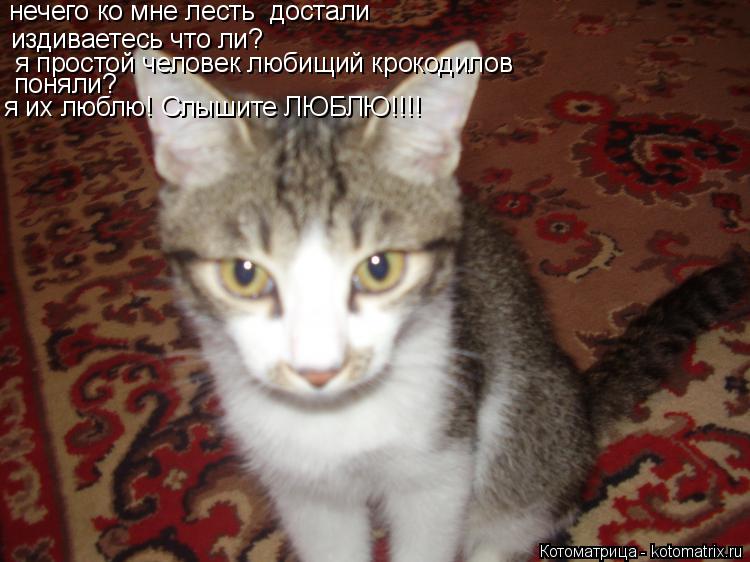 нечего ко мне лесть достали издиваетесь что ли? я простой человек любищий крокодилов поняли? я их лю... Котоматрица: нечего ко мне лесть достали издиваетесь что ли? я простой человек любищий крокодилов поняли? я их люблю! Слышите ЛЮБЛЮ!!!!