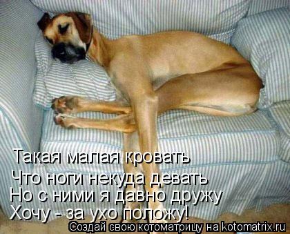 Но с ними я давно дружу Хочу - за ухо положу! Такая малая кровать Что ноги некуда девать... Котоматрица: Но с ними я давно дружу Хочу - за ухо положу! Такая малая кровать Что ноги некуда девать
