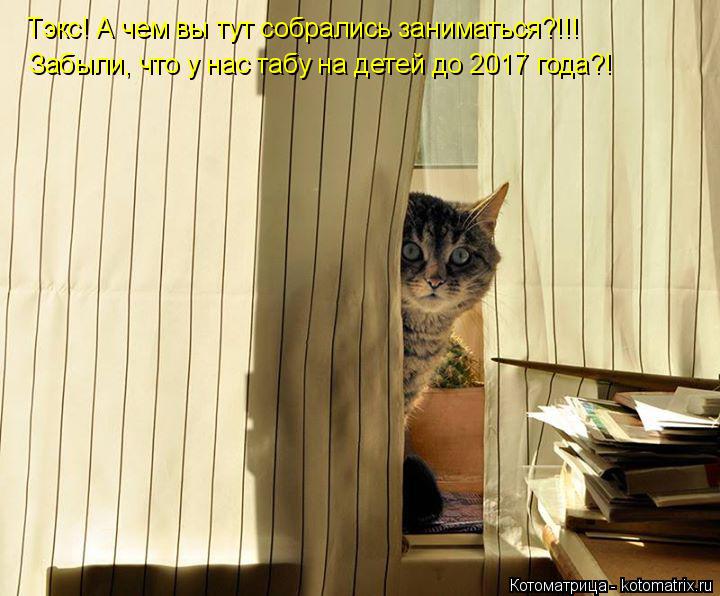 Тэкс! А чем вы тут собрались заниматься?!!! Забыли, что у нас табу на детей до 2017 года?!... Котоматрица: Тэкс! А чем вы тут собрались заниматься?!!! Забыли, что у нас табу на детей до 2017 года?!