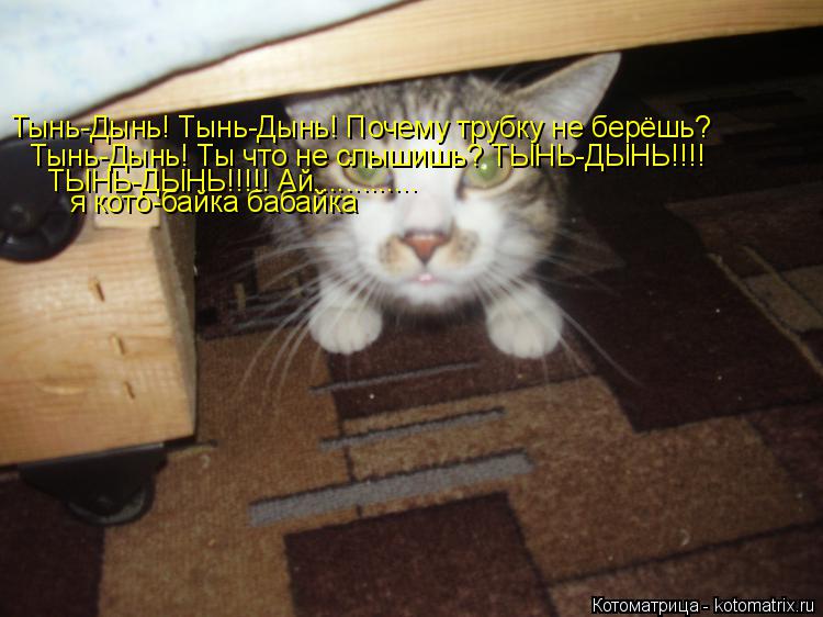 Тынь-Дынь! Тынь-Дынь! Почему трубку не берёшь? Тынь-Дынь! Ты что не слышишь? ТЫНЬ-ДЫНЬ!!!! ТЫНЬ-ДЫНЬ!... Котоматрица: Тынь-Дынь! Тынь-Дынь! Почему трубку не берёшь? Тынь-Дынь! Ты что не слышишь? ТЫНЬ-ДЫНЬ!!!! ТЫНЬ-ДЫНЬ!!!!! Ай............. я кото-байка бабайка
