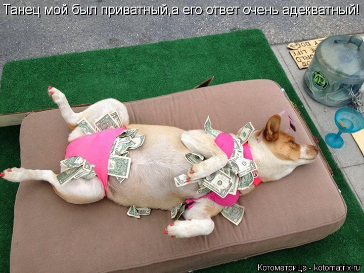 Танец мой был приватный,а его ответ очень адекватный!... Котоматрица: Танец мой был приватный,а его ответ очень адекватный!