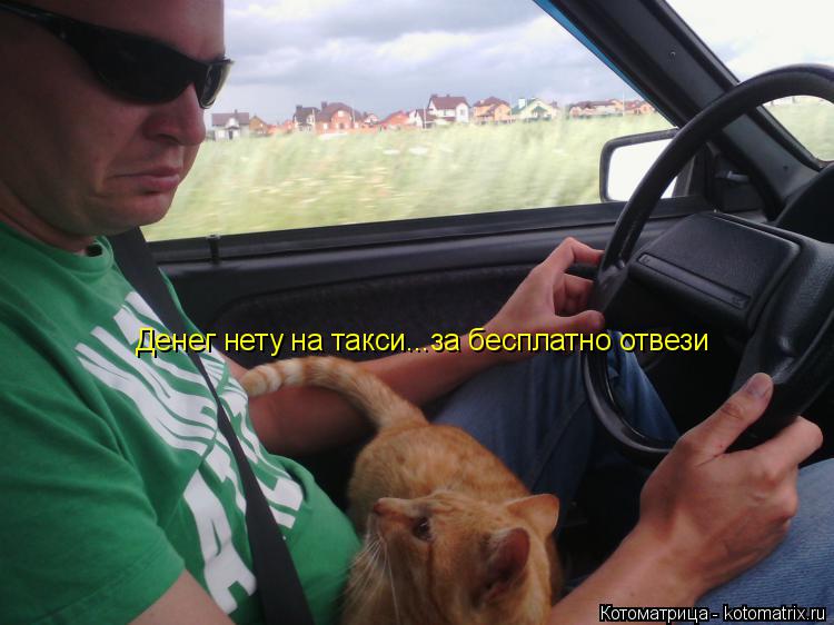 Денег нету на такси...за бесплатно отвези... Котоматрица: Денег нету на такси...за бесплатно отвези