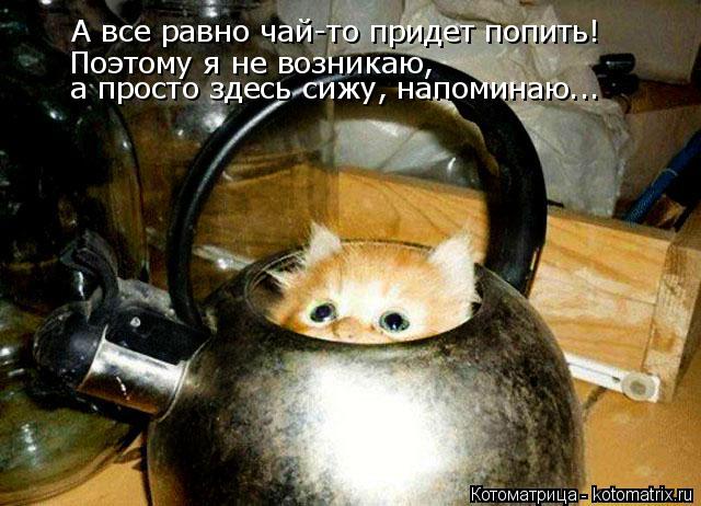 А все равно чай-то придет попить! Поэтому я не возникаю, а просто здесь сижу, напоминаю...... Котоматрица: А все равно чай-то придет попить! Поэтому я не возникаю, а просто здесь сижу, напоминаю...