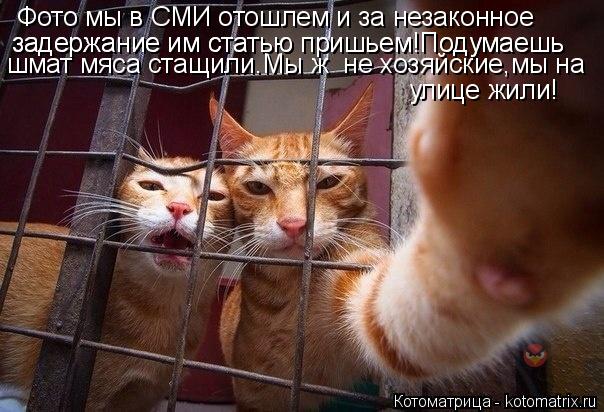 Фото мы в СМИ отошлем и за незаконное задержание им статью пришьем!Подумаешь задержание им статью пр... Котоматрица: Фото мы в СМИ отошлем и за незаконное задержание им статью пришьем!Подумаешь задержание им статью пришьем!Подумаешь шмат мяса стащили.Мы ж
