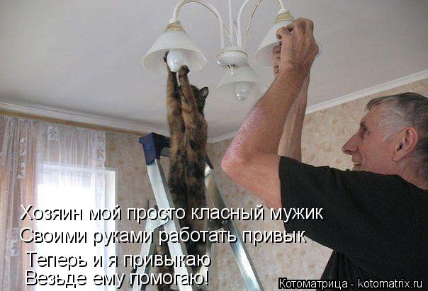 Своими руками работать привык Хозяин мой просто класный мужик Теперь и я привыкаю Везьде ему помогаю!... Котоматрица: Своими руками работать привык Хозяин мой просто класный мужик Теперь и я привыкаю Везьде ему помогаю!