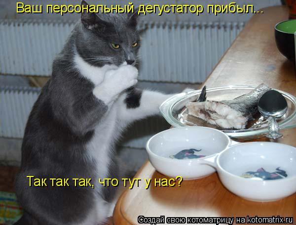 Ваш персональный дегустатор прибыл... Так так так, что тут у нас?... Котоматрица: Ваш персональный дегустатор прибыл... Так так так, что тут у нас?