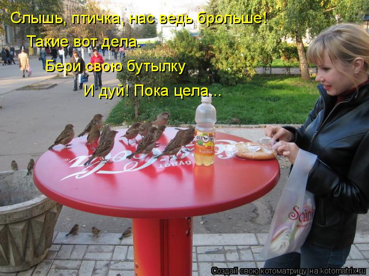 Слышь, птичка, нас ведь брольше! Такие вот дела. Бери свою бутылку И дуй! Пока цела...... Котоматрица: Слышь, птичка, нас ведь брольше! Такие вот дела. Бери свою бутылку И дуй! Пока цела...