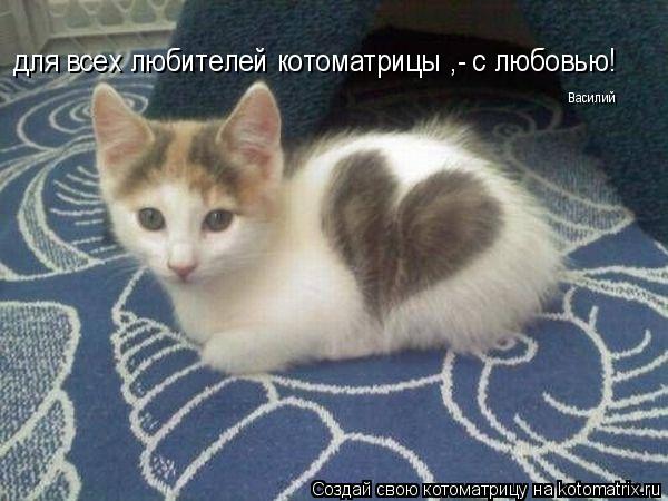 для всех любителей котоматрицы ,- с любовью! Василий... Котоматрица: для всех любителей котоматрицы ,- с любовью! Василий