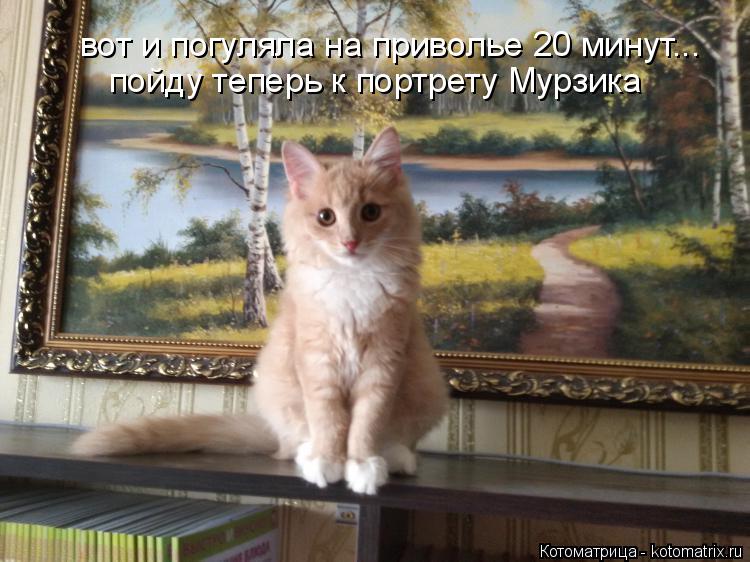 вот и погуляла на приволье 20 минут... пойду теперь к портрету Мурзика... Котоматрица: вот и погуляла на приволье 20 минут... пойду теперь к портрету Мурзика