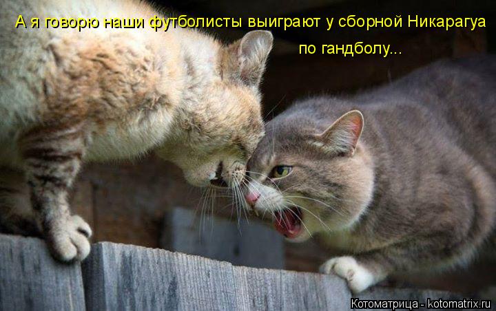 А я говорю наши футболисты выиграют у сборной Никарагуа по гандболу...... Котоматрица: А я говорю наши футболисты выиграют у сборной Никарагуа по гандболу...
