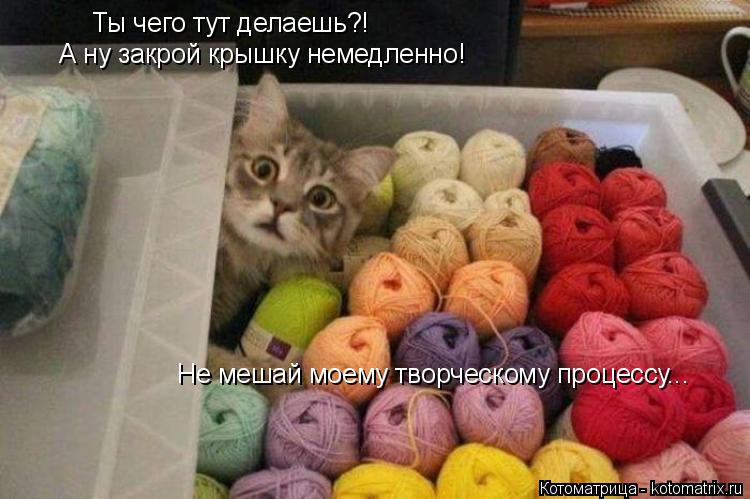Ты чего тут делаешь?! А ну закрой крышку немедленно! Не мешай моему творческому процессу...... Котоматрица: Ты чего тут делаешь?! А ну закрой крышку немедленно! Не мешай моему творческому процессу...