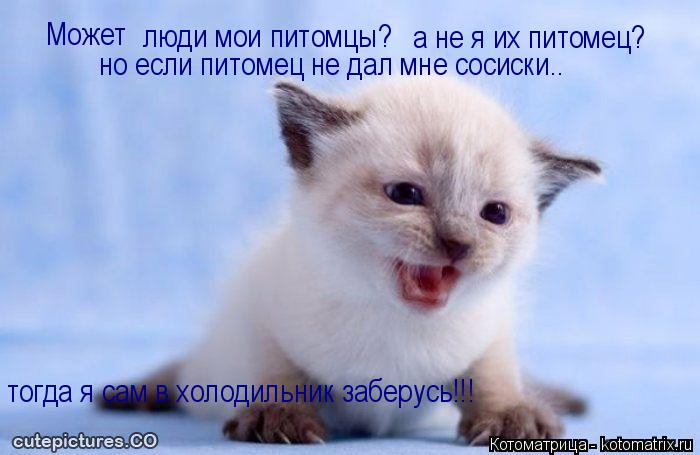 Может люди мои питомцы? а не я их питомец? но если питомец не дал мне сосиски.. тогда я сам в холоди... Котоматрица: Может люди мои питомцы? а не я их питомец? но если питомец не дал мне сосиски.. тогда я сам в холодильник заберусь!!!
