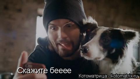 Скажите бееее... Котоматрица: Скажите бееее