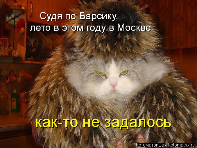 Судя по Барсику, лето в этом году в Москве как-то не задалось... Котоматрица: Судя по Барсику, лето в этом году в Москве как-то не задалось