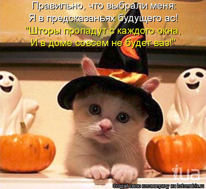 Правильно, что выбрали меня: Я в предсказаньях будущего ас! "Шторы пропадут с каждого окна, И в доме... Котоматрица: Правильно, что выбрали меня: Я в предсказаньях будущего ас! "Шторы пропадут с каждого окна, И в доме совсем не будет ваз!"