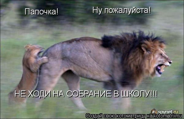 Папочка! Ну пожалуйста! НЕ ХОДИ НА СОБРАНИЕ В ШКОЛУ!!!... Котоматрица: Папочка! Ну пожалуйста! НЕ ХОДИ НА СОБРАНИЕ В ШКОЛУ!!!