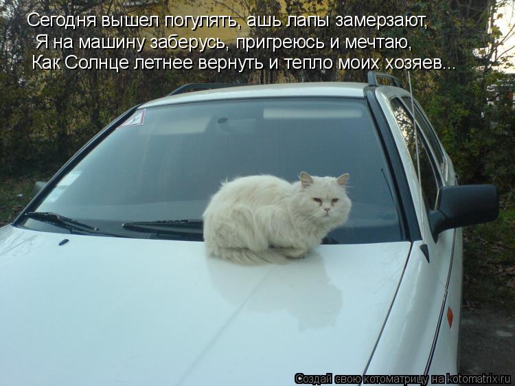 Сегодня вышел погулять, ашь лапы замерзают, Я на машину заберусь, пригреюсь и мечтаю, Как Солнце летн... Котоматрица: Сегодня вышел погулять, ашь лапы замерзают, Я на машину заберусь, пригреюсь и мечтаю, Как Солнце летнее вернуть и тепло моих хозяев...