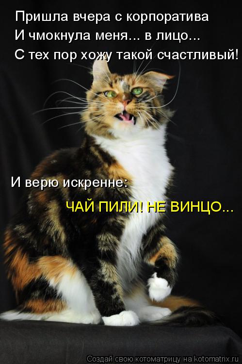 Пришла вчера с корпоратива И чмокнула меня... в лицо... С тех пор хожу такой счастливый! И верю искре... Котоматрица: Пришла вчера с корпоратива И чмокнула меня... в лицо... С тех пор хожу такой счастливый! И верю искренне: ЧАЙ ПИЛИ! НЕ ВИНЦО...