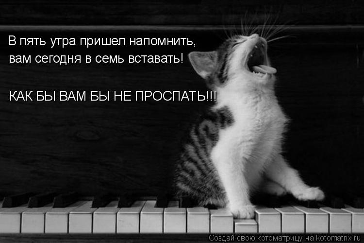 В пять утра пришел напомнить, вам сегодня в семь вставать! КАК БЫ ВАМ БЫ НЕ ПРОСПАТЬ!!!... Котоматрица: В пять утра пришел напомнить, вам сегодня в семь вставать! КАК БЫ ВАМ БЫ НЕ ПРОСПАТЬ!!!