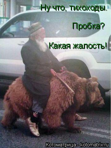 Ну что, тихоходы. Пробка? Какая жалость!... Котоматрица: Ну что, тихоходы. Пробка? Какая жалость!