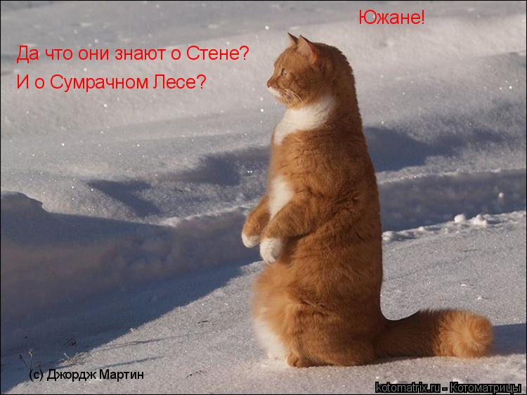 Южане! Да что они знают о Стене? И о Сумрачном Лесе? (с) Джордж Мартин... Котоматрица: Южане! Да что они знают о Стене? И о Сумрачном Лесе? (с) Джордж Мартин