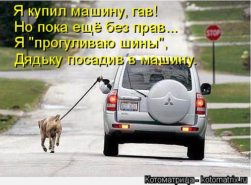 Котоматрица: Но пока ещё без прав... Я купил машину, гав!  Я "прогуливаю шины", Дядьку посадив в машину.