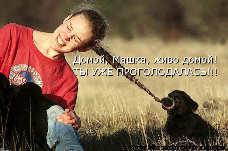 Домой, Машка, живо домой! ТЫ УЖЕ ПРОГОЛОДАЛАСЬ!!!... Котоматрица: Домой, Машка, живо домой! ТЫ УЖЕ ПРОГОЛОДАЛАСЬ!!!