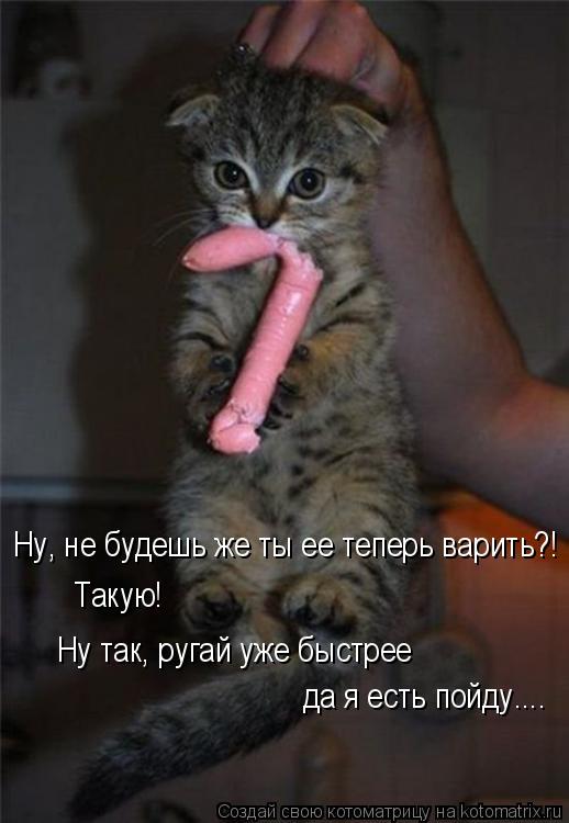 Такую! Ну так, ругай уже быстрее да я есть пойду.... Ну, не будешь же ты ее теперь варить?!... Котоматрица: Такую! Ну так, ругай уже быстрее да я есть пойду.... Ну, не будешь же ты ее теперь варить?!