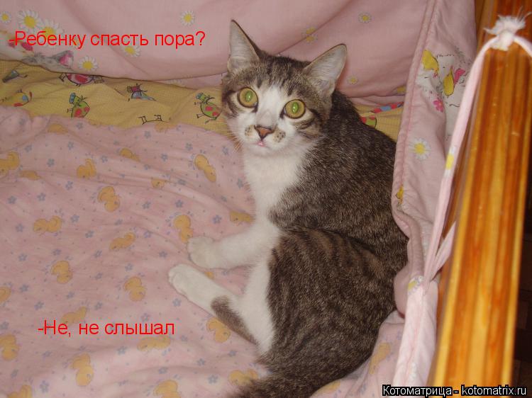 -Ребенку спасть пора? -Не, не слышал... Котоматрица: -Ребенку спасть пора? -Не, не слышал