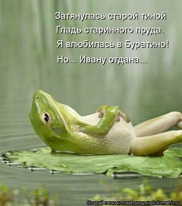 Затянулась старой тиной Гладь старинного пруда. Я влюбилась в Буратино! Но... Ивану отдана...... Котоматрица: Затянулась старой тиной Гладь старинного пруда. Я влюбилась в Буратино! Но... Ивану отдана...