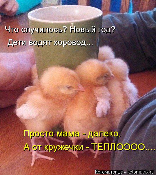 Что случилось? Новый год? Дети водят хоровод... Просто мама - далеко. А от кружечки - ТЕПЛОООО....... Котоматрица: Что случилось? Новый год? Дети водят хоровод... Просто мама - далеко. А от кружечки - ТЕПЛОООО....