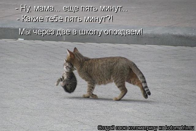 - Ну, мама... еще пять минут... Мы через две в школу опоздаем! - Какие тебе пять минут?!... Котоматрица: - Ну, мама... еще пять минут... Мы через две в школу опоздаем! - Какие тебе пять минут?!