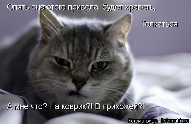 Опять она этого привела, будет храпеть, Толкаться А мне что? На коврик?! В прихожей?!... Котоматрица: Опять она этого привела, будет храпеть, Толкаться А мне что? На коврик?! В прихожей?!