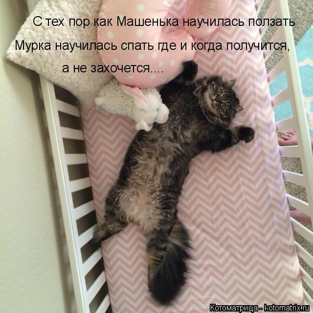 С тех пор как Машенька научилась ползать Мурка научилась спать где и когда получится, а не захочется.... Котоматрица: С тех пор как Машенька научилась ползать Мурка научилась спать где и когда получится, а не захочется....