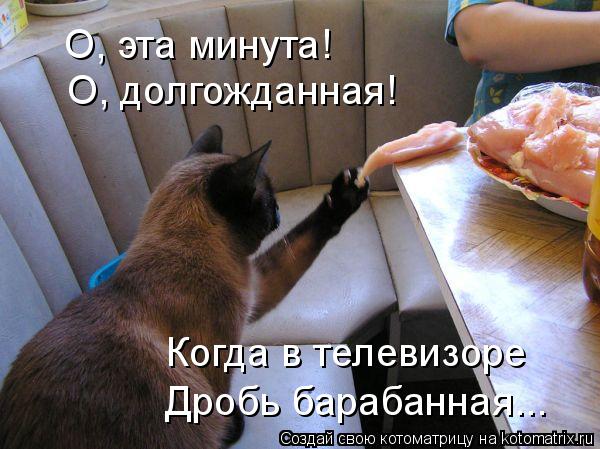Когда в телевизоре Дробь барабанная... О, эта минута! О, долгожданная!... Котоматрица: Когда в телевизоре Дробь барабанная... О, эта минута! О, долгожданная!