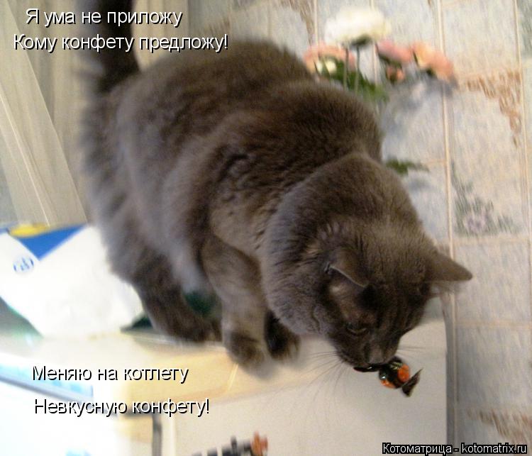 Я ума не приложу Кому конфету предложу! Меняю на котлету Невкусную конфету!... Котоматрица: Я ума не приложу Кому конфету предложу! Меняю на котлету Невкусную конфету!