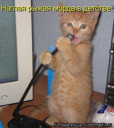 Наглая рыжая морда в детстве...... Котоматрица: Наглая рыжая морда в детстве...